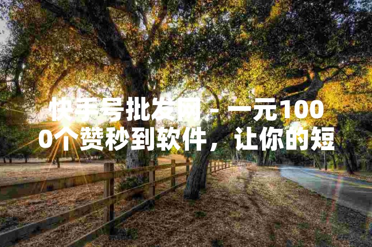 快手号批发网 - 一元1000个赞秒到软件，让你的短视频瞬间获得高人气。