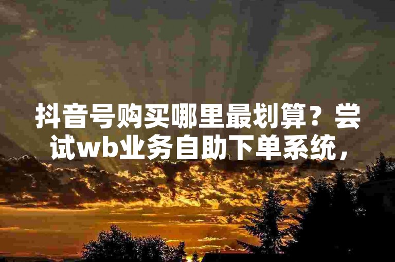 抖音号购买哪里最划算？尝试wb业务自助下单系统，同时B站业务也能在此平台轻松下单。