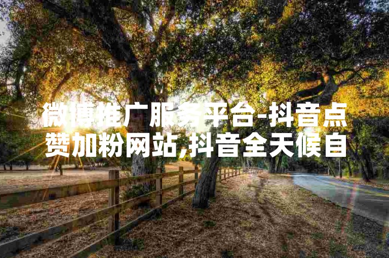 微博推广服务平台-抖音点赞加粉网站,抖音全天候自助下单系统