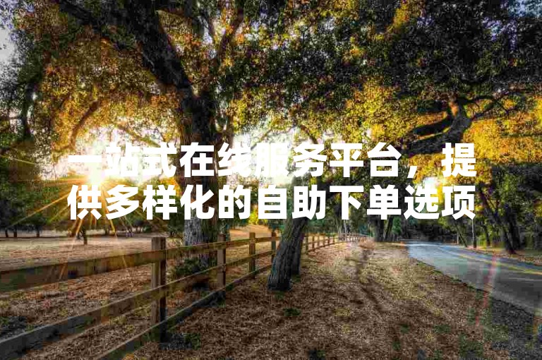 一站式在线服务平台，提供多样化的自助下单选项。