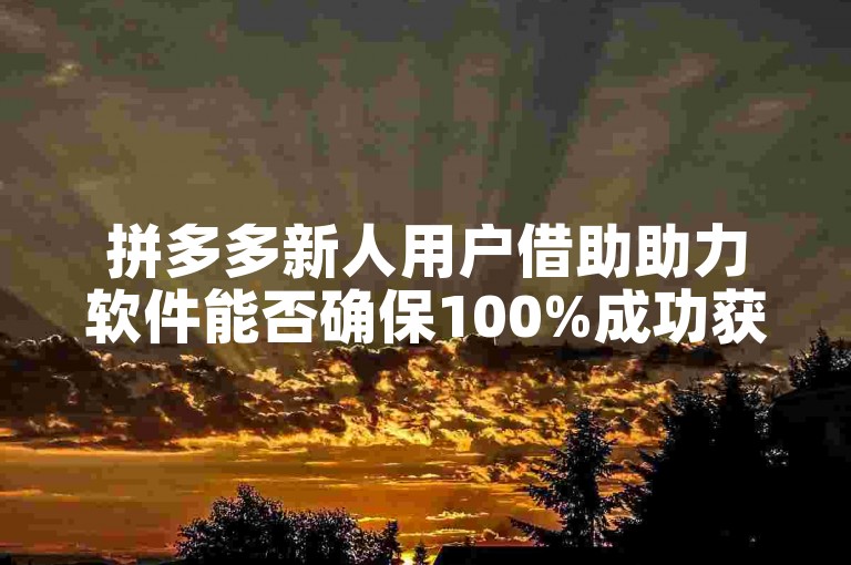 拼多多新人用户借助助力软件能否确保100%成功获取优惠？