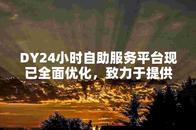 DY24小时自助服务平台现已全面优化，致力于提供更快捷的即时服务体验。