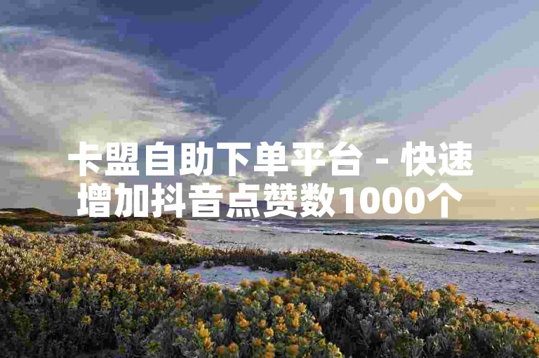 卡盟自助下单平台 - 快速增加抖音点赞数1000个
