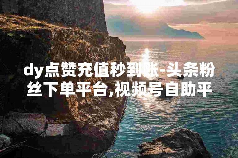 dy点赞充值秒到账-头条粉丝下单平台,视频号自助平台业务下单真人