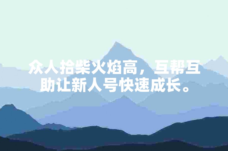 众人拾柴火焰高，互帮互助让新人号快速成长。