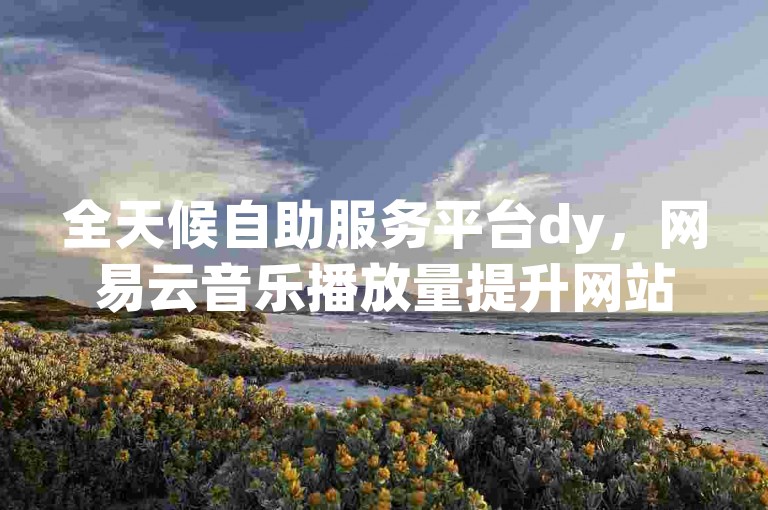 全天候自助服务平台dy，网易云音乐播放量提升网站。