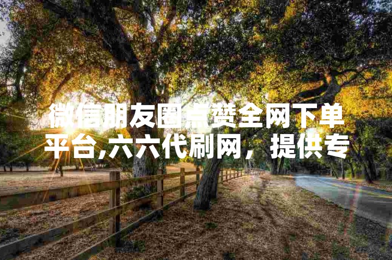 微信朋友圈点赞全网下单平台,六六代刷网，提供专业的点赞服务。