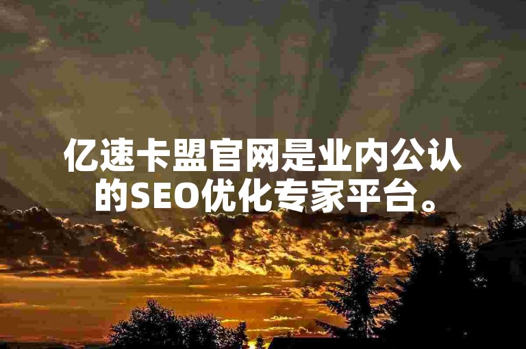 亿速卡盟官网是业内公认的SEO优化专家平台。