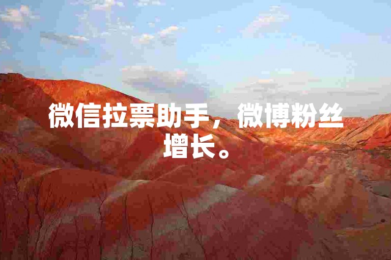 微信拉票助手，微博粉丝增长。