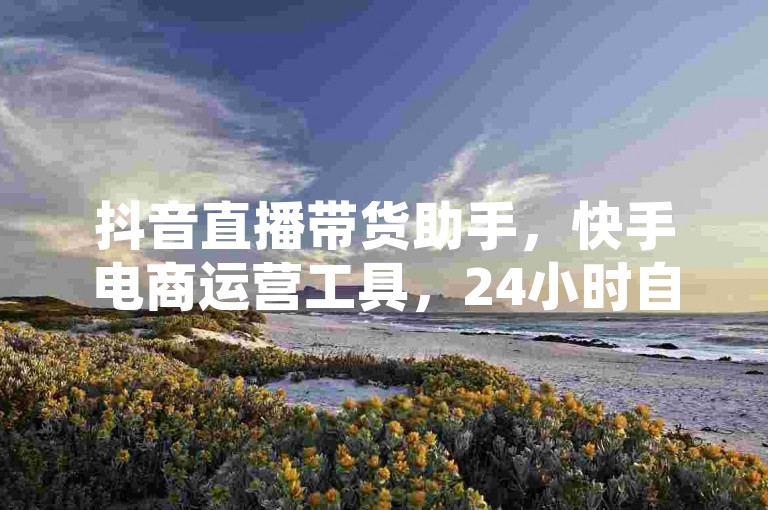 抖音直播带货助手，快手电商运营工具，24小时自助下单系统。