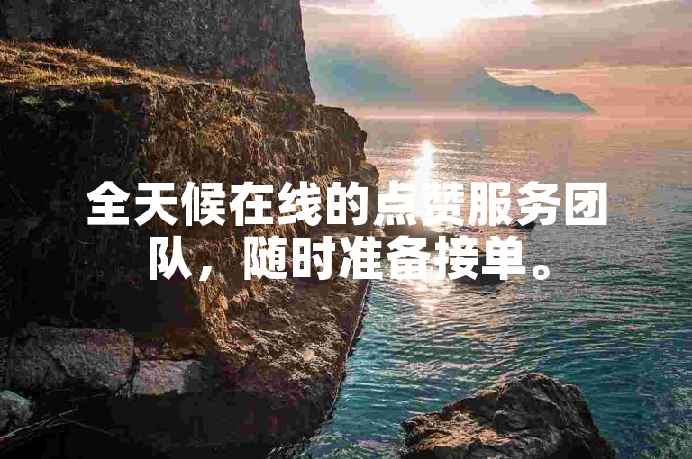 全天候在线的点赞服务团队，随时准备接单。