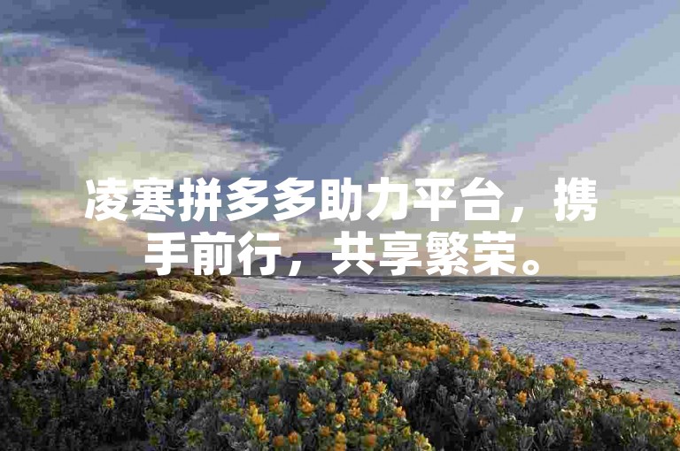 凌寒拼多多助力平台，携手前行，共享繁荣。