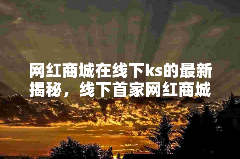 网红商城在线下ks的最新揭秘，线下首家网红商城盛大开业，引发抢购热潮！2024必逛