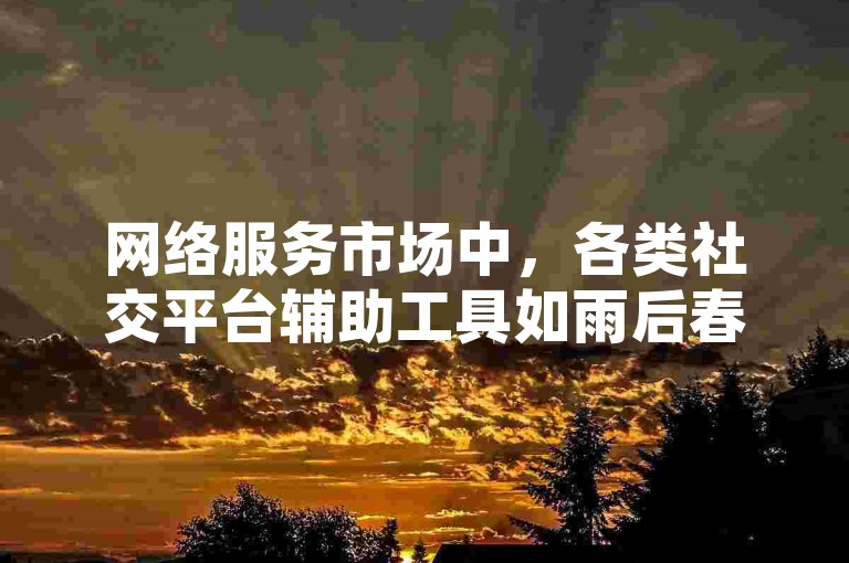 网络服务市场中，各类社交平台辅助工具如雨后春笋般涌现，其中不乏提供QQ空间人气提升、快手点赞等自助服务的蚂蚁平台。