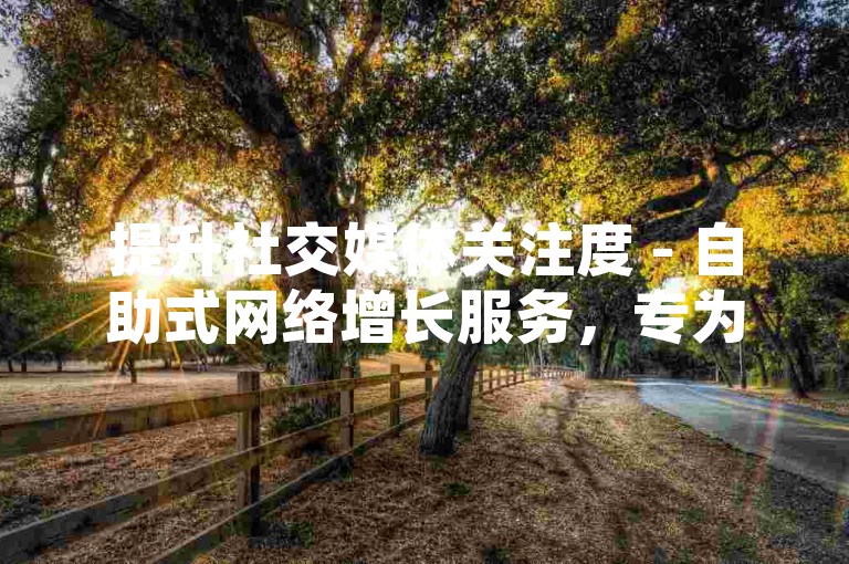 提升社交媒体关注度 - 自助式网络增长服务，专为快手设计。