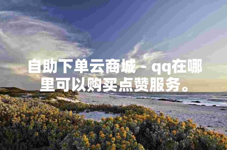 自助下单云商城 - qq在哪里可以购买点赞服务。