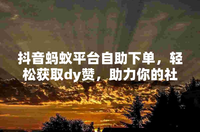 抖音蚂蚁平台自助下单，轻松获取dy赞，助力你的社交媒体影响力。