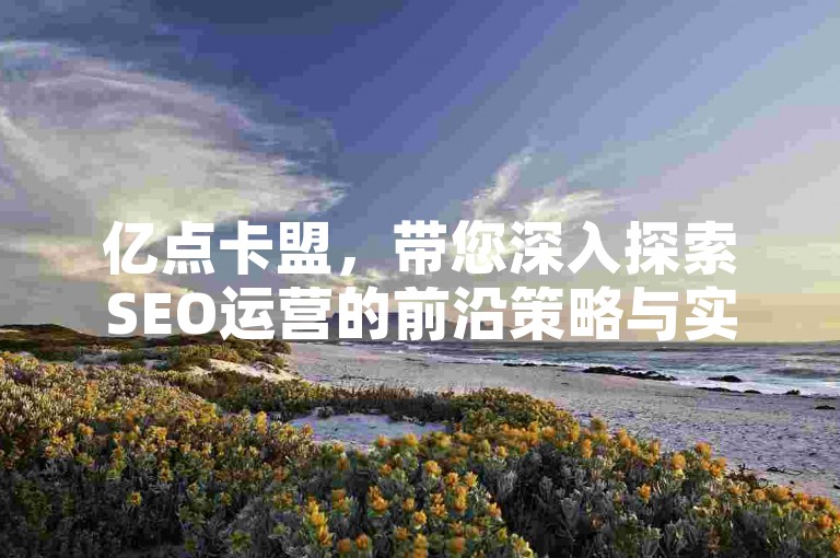 亿点卡盟，带您深入探索SEO运营的前沿策略与实用技巧，让您轻松掌控搜索引擎排名的制高点。