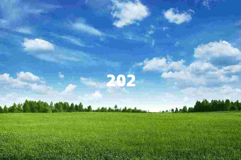 2025年拼多多真实互助群的现象，是探索未来电商社交化趋势的一个缩影。
