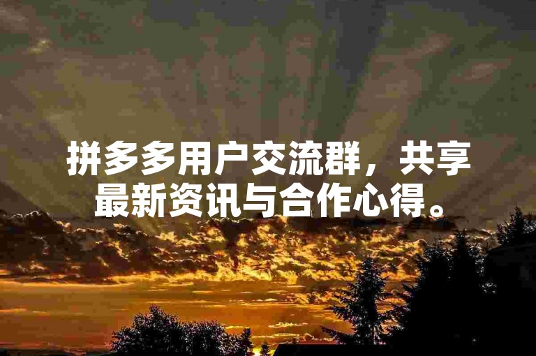 拼多多用户交流群，共享最新资讯与合作心得。