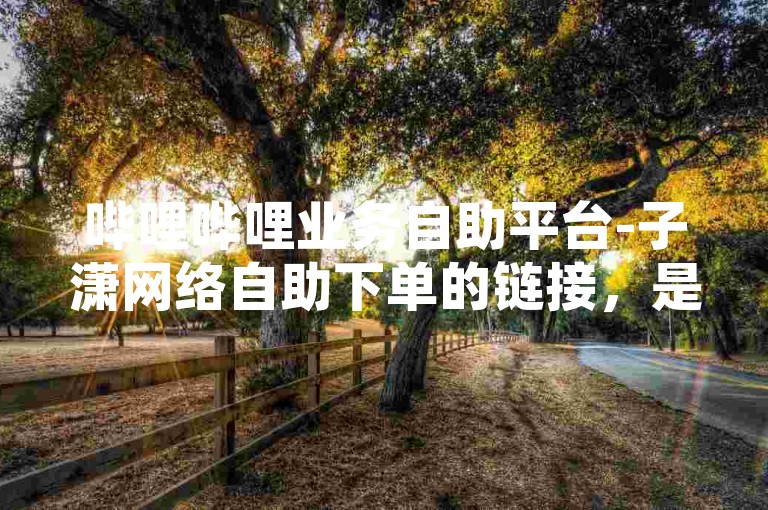 哔哩哔哩业务自助平台-子潇网络自助下单的链接，是用户便捷获取服务的重要入口。