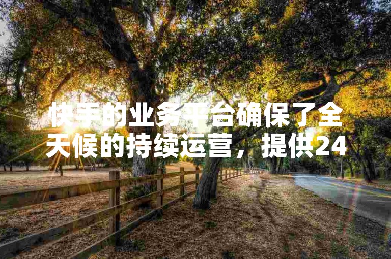 快手的业务平台确保了全天候的持续运营，提供24小时不间断的服务。