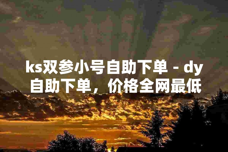 ks双参小号自助下单 - dy自助下单，价格全网最低。