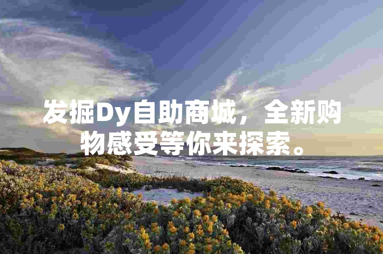 发掘Dy自助商城，全新购物感受等你来探索。