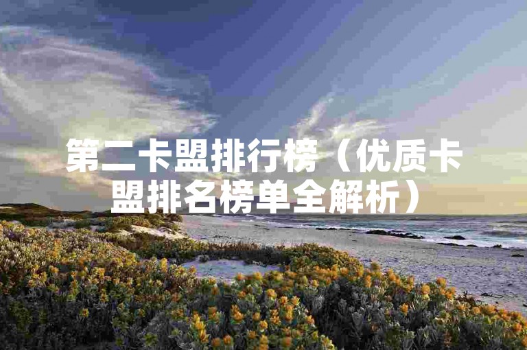 第二卡盟排行榜（优质卡盟排名榜单全解析）