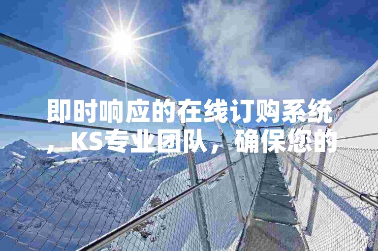 即时响应的在线订购系统，KS专业团队，确保您的订单迅速处理。