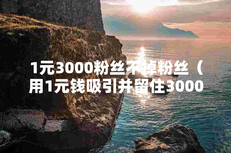 1元3000粉丝不掉粉丝（用1元钱吸引并留住3000名忠实粉丝，无需担心他们会流失。）