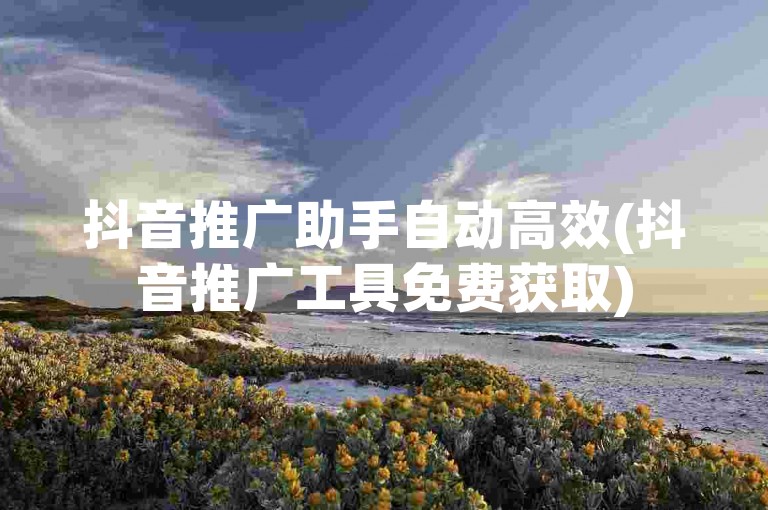 抖音推广助手自动高效(抖音推广工具免费获取)