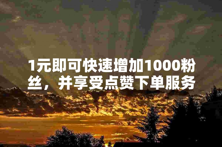 1元即可快速增加1000粉丝，并享受点赞下单服务。