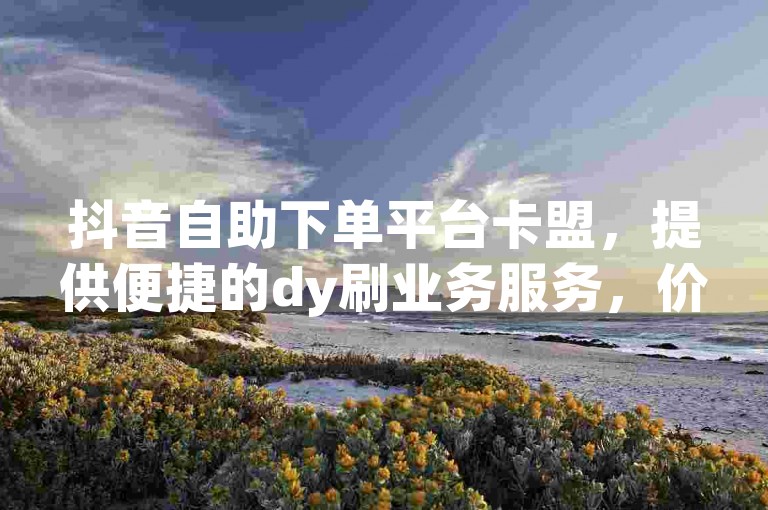 抖音自助下单平台卡盟，提供便捷的dy刷业务服务，价格实惠。