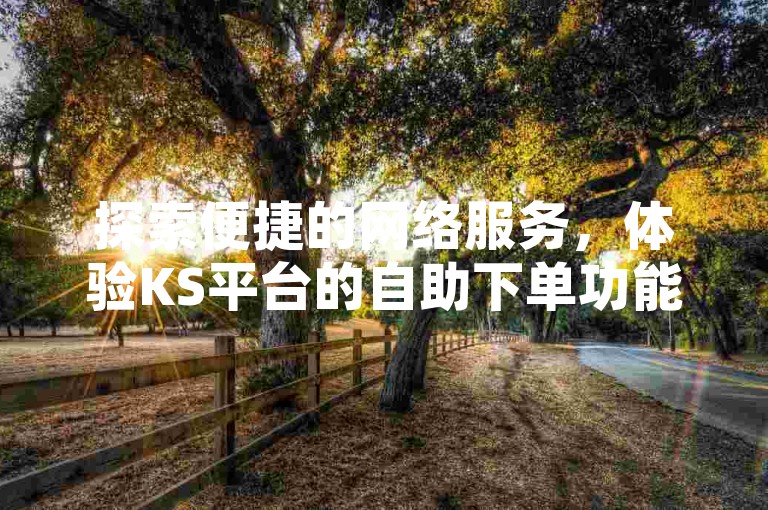 探索便捷的网络服务，体验KS平台的自助下单功能，享受真人服务的贴心与专业。
