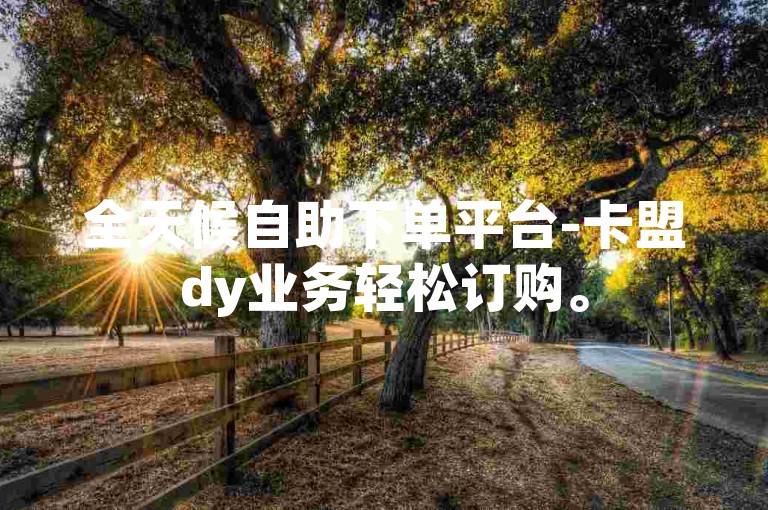 全天候自助下单平台-卡盟dy业务轻松订购。
