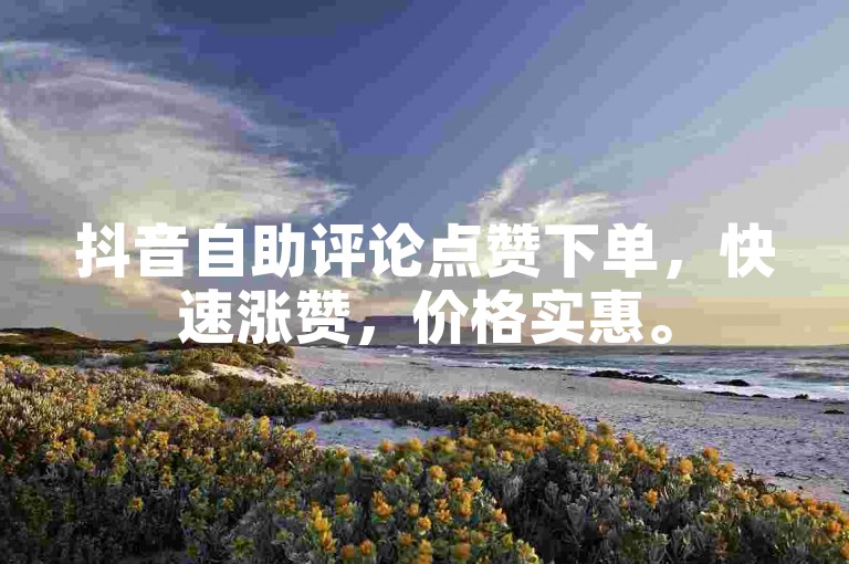 抖音自助评论点赞下单，快速涨赞，价格实惠。