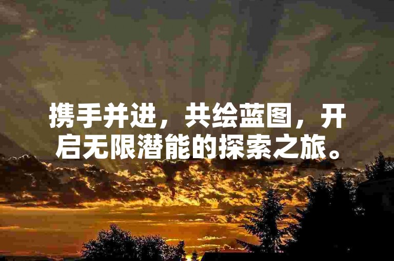 携手并进，共绘蓝图，开启无限潜能的探索之旅。