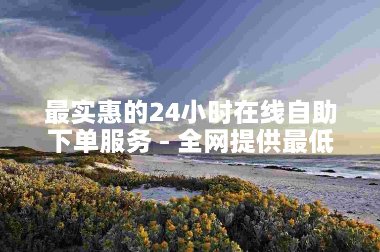 最实惠的24小时在线自助下单服务 - 全网提供最低价格的自助下单平台。