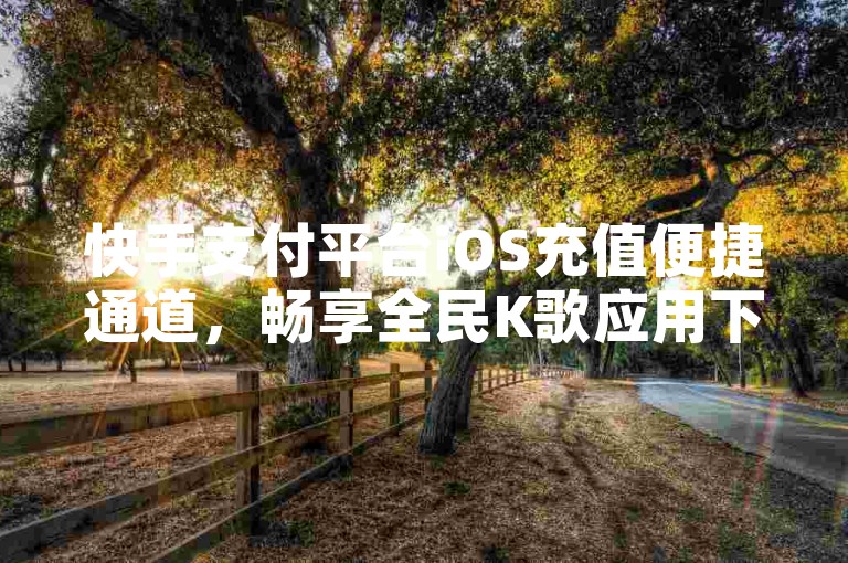 快手支付平台iOS充值便捷通道，畅享全民K歌应用下载及抖音虚拟货币快速充值服务，官方抖币充值入口确保24小时即时交易。