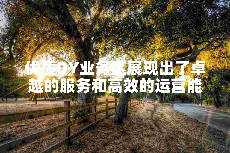优质DY业务区展现出了卓越的服务和高效的运营能力。