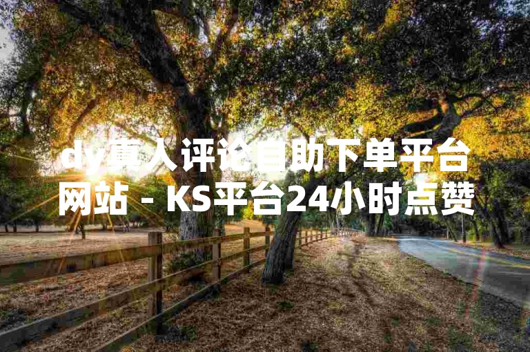 dy真人评论自助下单平台网站 - KS平台24小时点赞自助服务，提供便捷的点赞和评论功能。