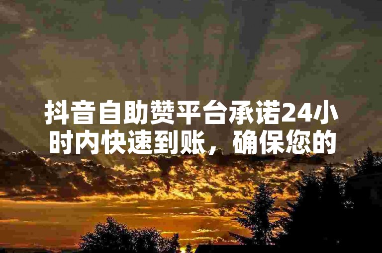 抖音自助赞平台承诺24小时内快速到账，确保您的点赞需求迅速得到满足！