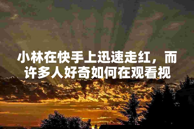 小林在快手上迅速走红，而许多人好奇如何在观看视频时隐藏那些点赞的观众。