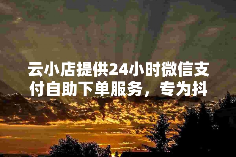 云小店提供24小时微信支付自助下单服务，专为抖音业务代理打造，还支持Qq空间秒赞插件。