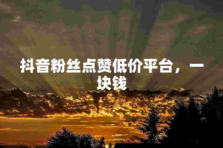 抖音粉丝点赞低价平台，一块钱500赞，1元1000粉下单平台。