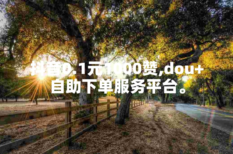 抖音0.1元1000赞,dou+自助下单服务平台。