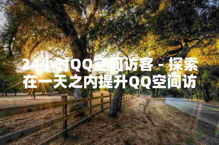 24小时QQ空间访客 - 探索在一天之内提升QQ空间访问量的有效策略！