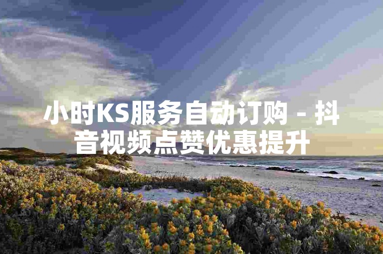 小时KS服务自动订购 - 抖音视频点赞优惠提升