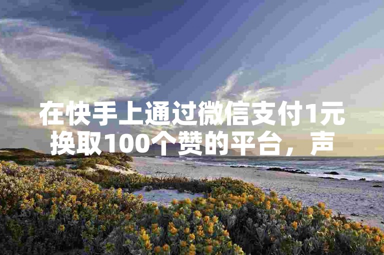 在快手上通过微信支付1元换取100个赞的平台，声称提供全网最低价且支持24小时自助下单的服务，其真实性有待考证。